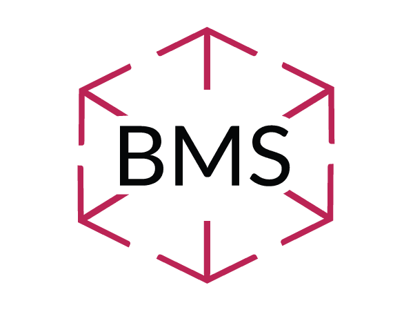 BMS Papier Concept